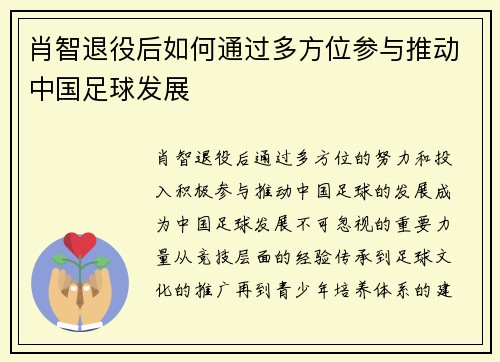 肖智退役后如何通过多方位参与推动中国足球发展
