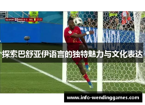 探索巴舒亚伊语言的独特魅力与文化表达 探索巴舒亚伊语言的独特魅力与文化表达