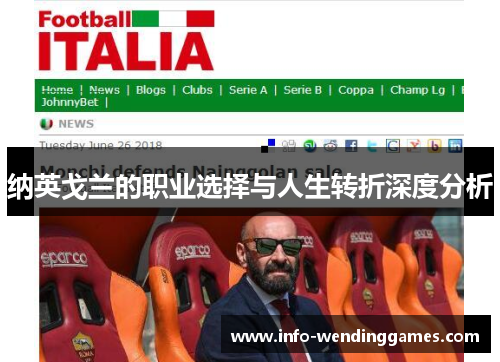 纳英戈兰的职业选择与人生转折深度分析 纳英戈兰的职业选择与人生转折深度分析