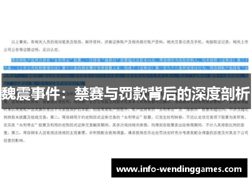 魏震事件：禁赛与罚款背后的深度剖析