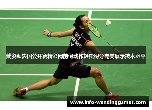 戴资颖法国公开赛精彩网前假动作轻松得分完美展示技术水平