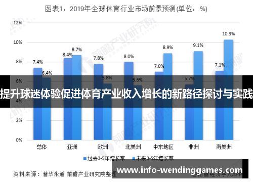 提升球迷体验促进体育产业收入增长的新路径探讨与实践