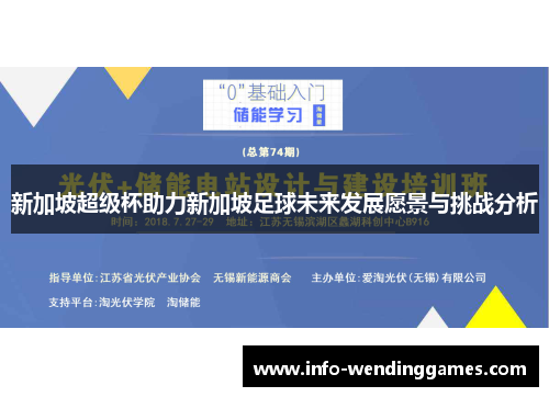 新加坡超级杯助力新加坡足球未来发展愿景与挑战分析