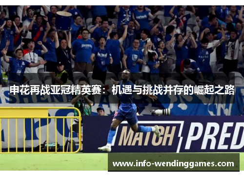 申花再战亚冠精英赛：机遇与挑战并存的崛起之路