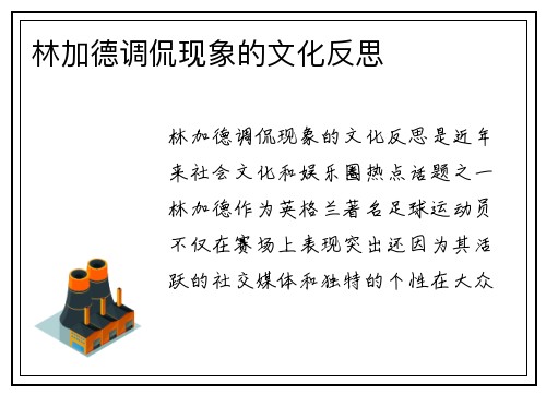 林加德调侃现象的文化反思